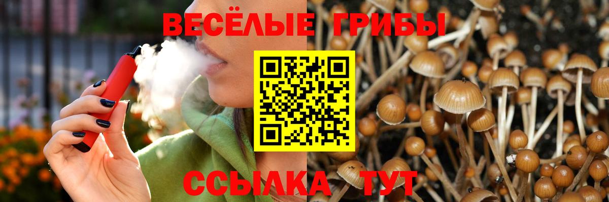Галлюциногенные грибы прущие грибы  Вход с VPN  Шебекино 
